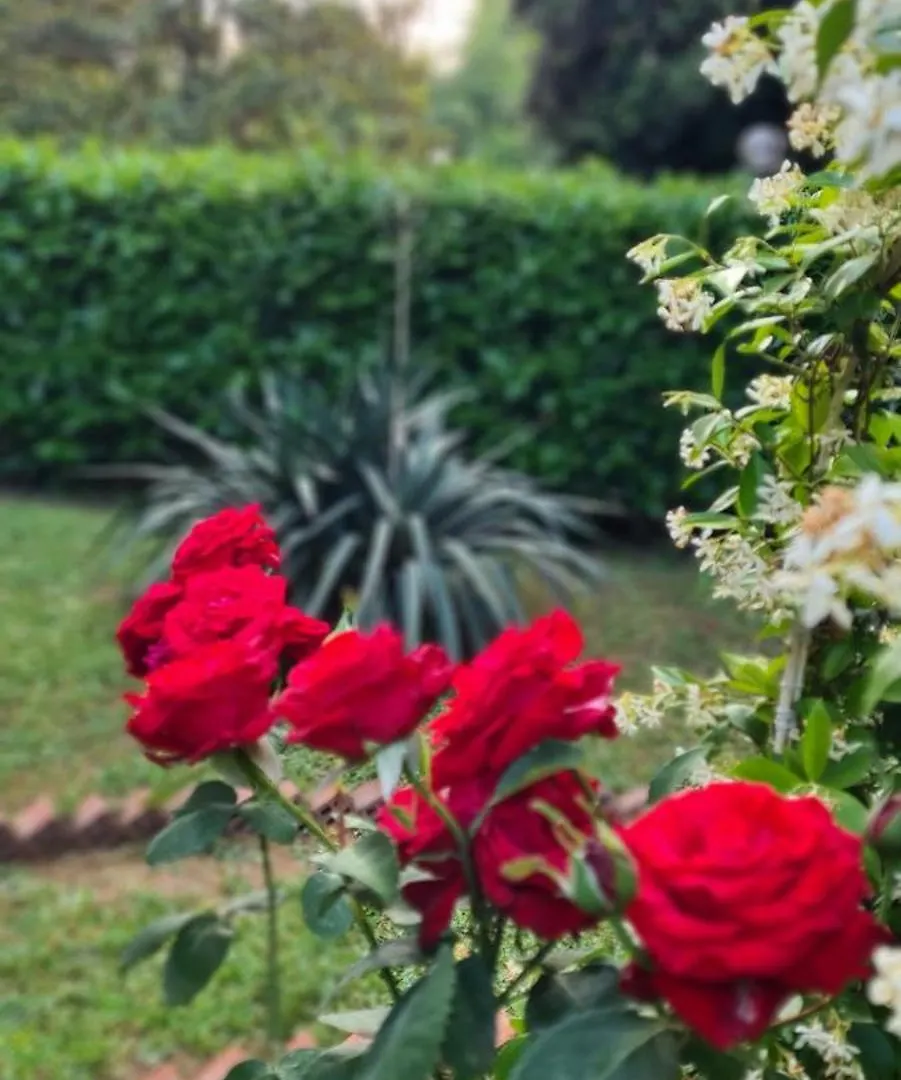 Guest house Rome At Hand Italy